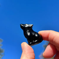 Carnelian goba