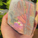 Μεγάλο (1,43 λίβρες) Μωβ Flash Labradorite Freeform (Είδος #0078)