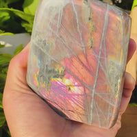 Μεγάλο (1,43 λίβρες) Μωβ Flash Labradorite Freeform (Είδος #0078)