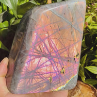 Stór (2,87 lbs.) fjólublátt Flash Labradorite Freeform (vara #0097)