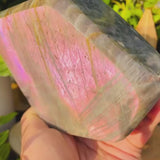 Μεγάλο (2,20 λίβρες) Μωβ Flash Labradorite Freeform (Είδος #0081)